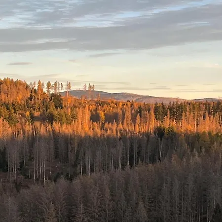Apartment Neu! Panoramablick Pool Und Sauna Hohegeiß