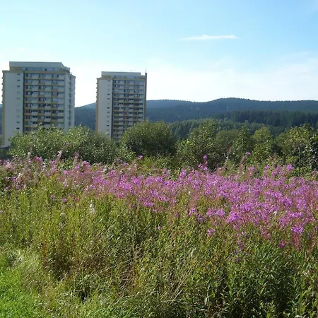 Neu! Panoramablick Pool Und Sauna דירה Hohegeiß