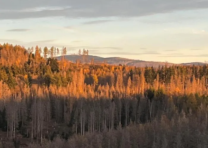Daire Neu! Panoramablick Pool Und Sauna Hohegeiß