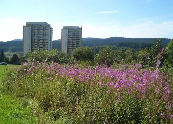 Neu! Panoramablick Pool Und Sauna Daire Hohegeiß